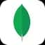 MongoDB