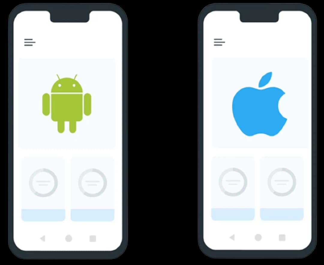 Flutter development image