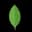 MongoDB